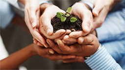 自助购买平台的在线网站攻击